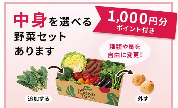 らでぃっしゅぼーやセレクトサービス 野菜・果物コース申し込みで1,000ポイントプレゼントの画像